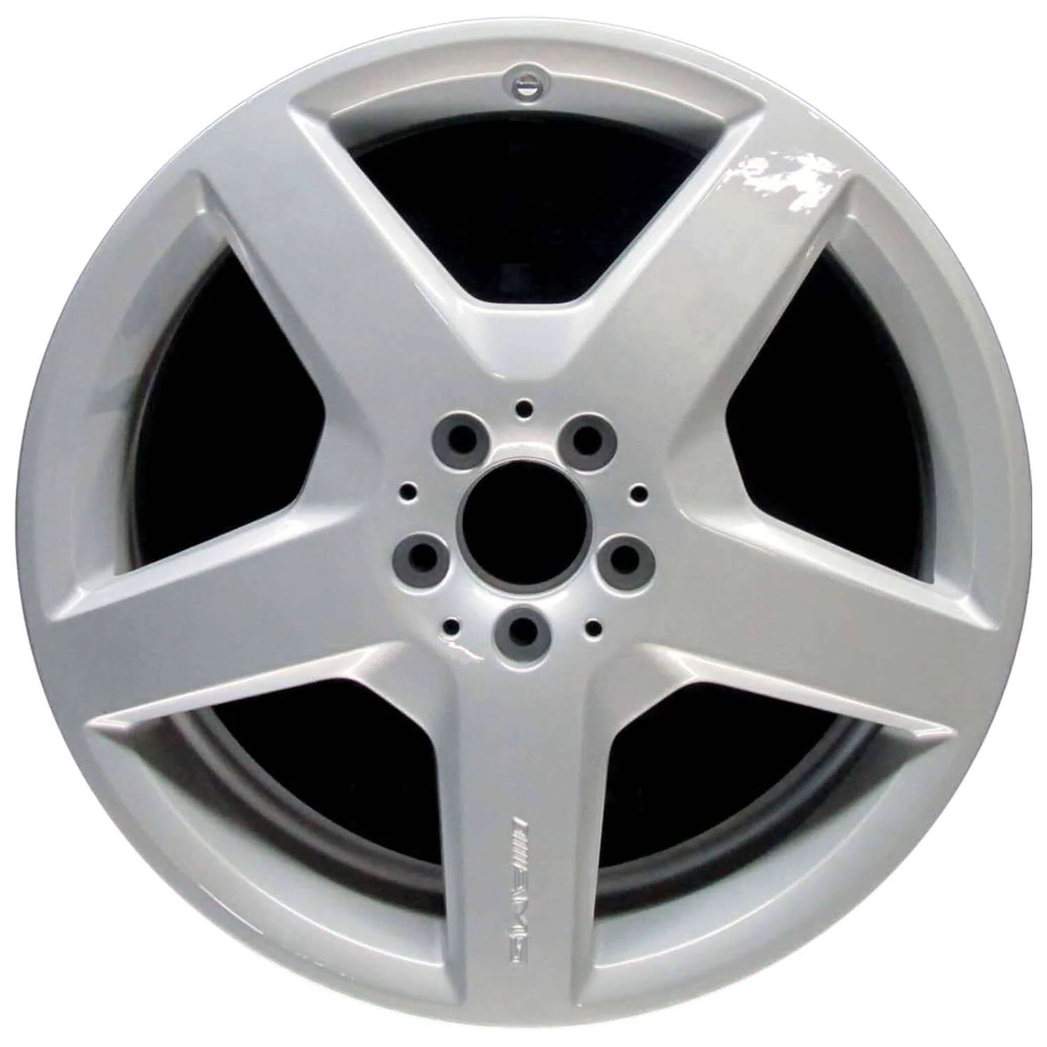 2010-2010 Mercedes Benz Wheels OEM Rims for Sale | R350 R500